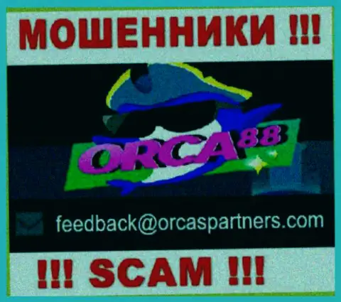 Кидалы Orca 88 предоставили вот этот адрес электронной почты у себя на сайте