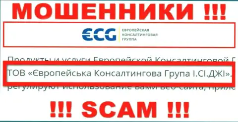 E.C.G - это интернет-обманщики, а руководит ими ООО Европейская Консалтинговая Группа И.СИ.ДЖИ