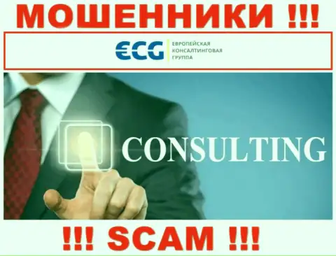 Консалтинг - это сфера деятельности противозаконно действующей конторы EC-Group