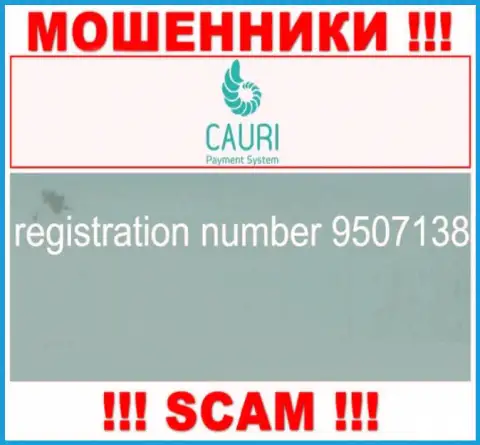 Номер регистрации, который принадлежит незаконно действующей конторе Каури: 9507138