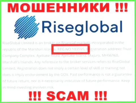 Номер регистрации RiseGlobal Ltd, который мошенники указали у себя на internet-странице: 103595