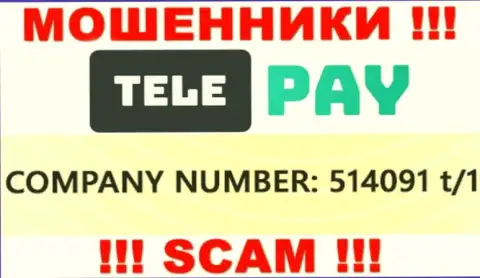 Регистрационный номер ТелеПэй, который предоставлен жуликами на их веб-сайте: 514091 t/1