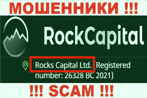 Rocks Capital Ltd - указанная организация владеет разводилами RockCapital