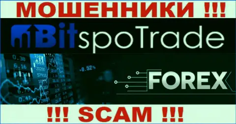 FOREX - это именно то, чем промышляют internet-мошенники BitSpoTrade Com