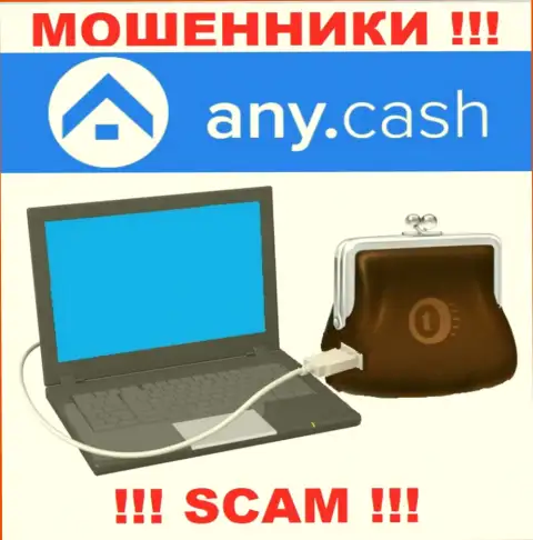 Any Cash - это МАХИНАТОРЫ, вид деятельности которых - Виртуальный online-кошелек
