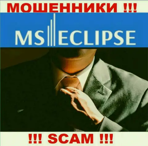 Данных о лицах, руководящих MS Eclipse в сети найти не получилось
