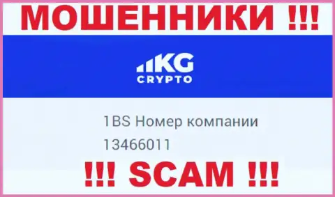 Регистрационный номер компании CryptoKG, в которую накопления советуем не перечислять: 13466011