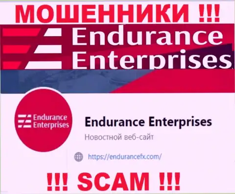 Пообщаться с жуликами из организации Endurance Enterprises Вы сможете, если отправите сообщение им на адрес электронной почты