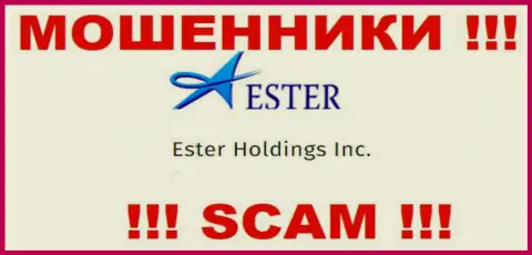 Сведения о юридическом лице internet воров Ester Holdings Inc
