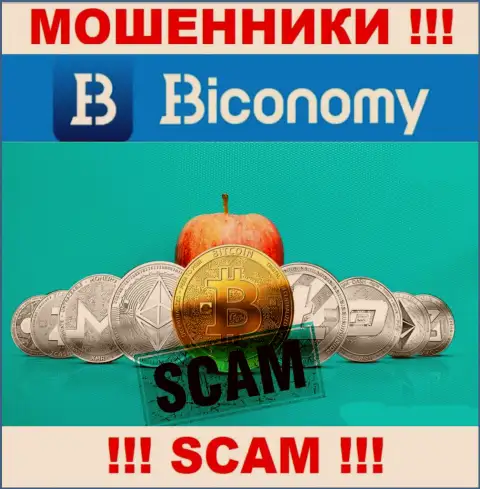 Не стоит доверять Biconomy Com - обещают хорошую прибыль, а в итоге оставляют без средств