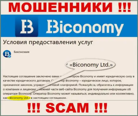 Юридическое лицо, которое владеет интернет-мошенниками Biconomy Ltd это Бикономи Лтд
