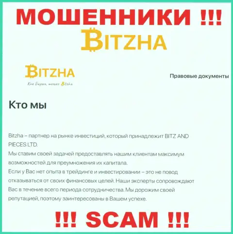 Bitzha 24 - это настоящие мошенники, сфера деятельности которых - Investing