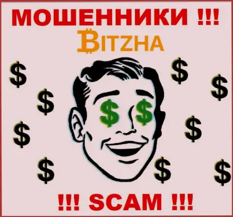 Организация Bitzha24 Com - это МОШЕННИКИ !!! Орудуют противозаконно, так как не имеют регулирующего органа