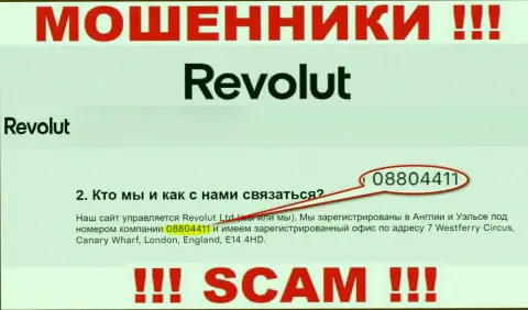 Будьте крайне внимательны, присутствие регистрационного номера у компании Revolut (08804411) может быть приманкой