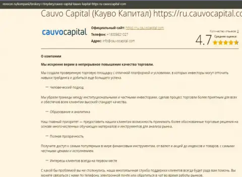 Статья об условиях торговли дилинговой компании CauvoCapital на информационном ресурсе Ревокон Ру