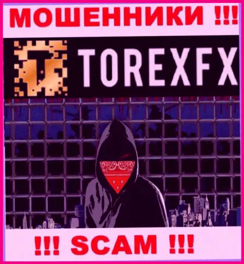 TorexFX Com не разглашают данные о руководстве конторы