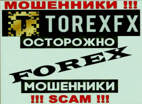 Тип деятельности TorexFX: Форекс - хороший доход для мошенников
